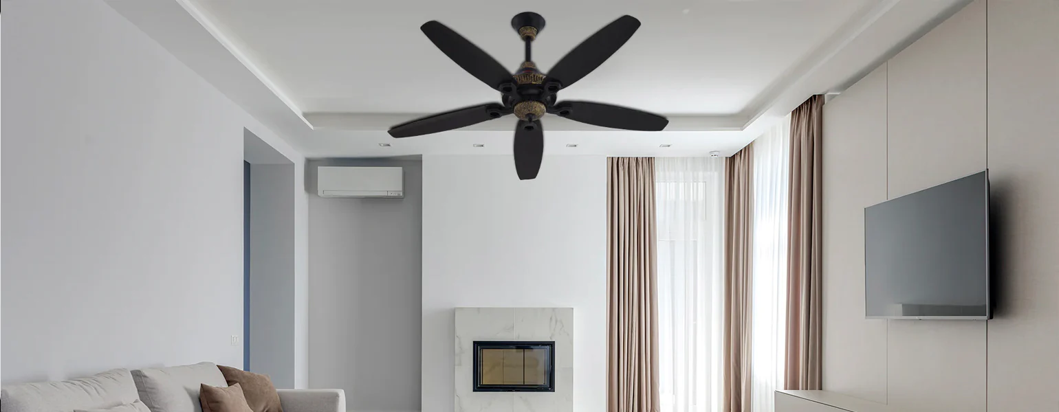 Experience Royal Comfort and Innovation