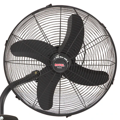 Fans